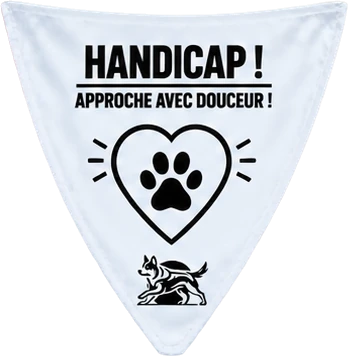 Handicap ! Approche avec douceur ! Patte et cœur.