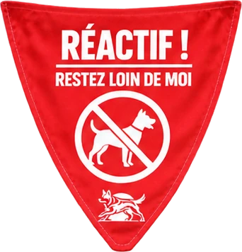Réactif ! Restez loin de moi. Pictogramme de chien barré.